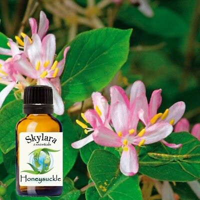 100% Pure Organic Honeysuckle Essential Oil Free Shipping